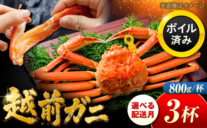 
                  【先行予約/11月7日より順次発送】 【希望月指定可】 越前がに 800ｇ×3杯 / 蟹 ズワイガニ ずわいがに ボイル 冷蔵 小浜市 / まるほ商店 【配送不可地域：北海道・沖縄・離島】[BFCS026]
                