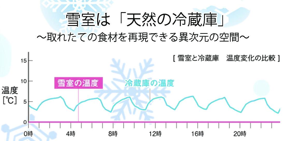 季節限定〜雪室米〜特別栽培米つや姫【5kg】