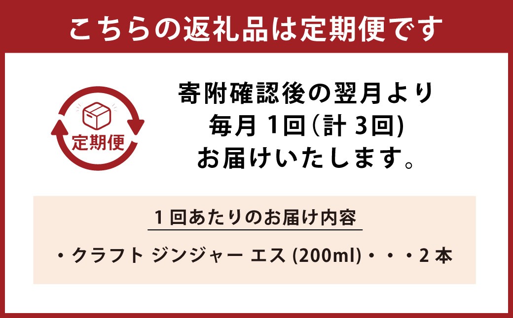 【3ヵ月定期便】Craft GingerS 200ml×2 無添加 国産 大人辛い ジンジャーシロップ
