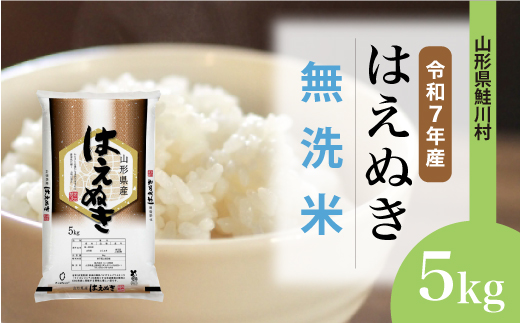 ＜令和7年産＞ はえぬき 【無洗米】5kg （5kg×1袋）＜配送時期選べます＞　山形県鮭川村