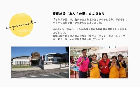 【年5回】旬のフルーツ定期便★あんずの里【随時開始】[G7032]