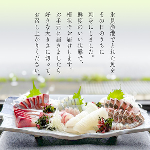 【3回定期便】【冷蔵】氷見の海鮮 お刺身詰め合わせ 5種（サク）4,5人前 〈初回醤油付〉　刺身