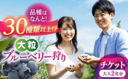 ブルーベリー狩り 80分食べ放題 ペアチケット 大人2名様 ブルーベリー 体験チケット[AEBZ008]