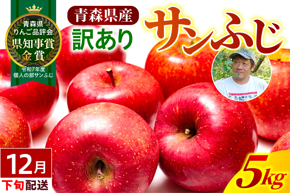【2026年12月下旬発送】【訳あり】りんご 青森産 約5kg サンふじ