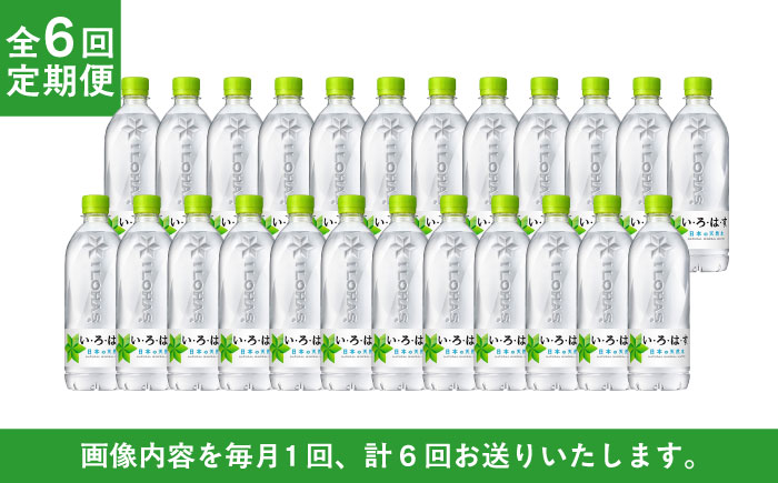 【全6回定期便】い・ろ・は・す(いろはす)阿蘇の天然水 540mlペットボトル×24本(1ケース) /ミネラルウォーター 軟水 飲料水 天然水 非常用【コカ・コーラボトラーズジャパン株式会社】 [BH