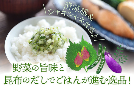 マルハチ 山形のだし 110g×6パック 漬物 夏野菜 シャキシャキ食感 お手軽 簡単 ご飯のお供 おかず 山形名物 郷土料理 家庭料理 ご当地