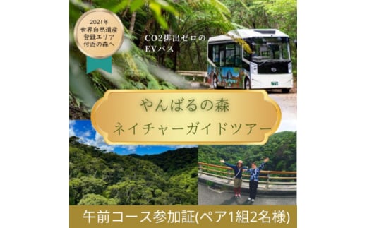 ＜一ヶ月前予約必須＞やんばるの森ネイチャーガイドEVバスツアー 午前コース(ペア1組2名様分)【1606954】