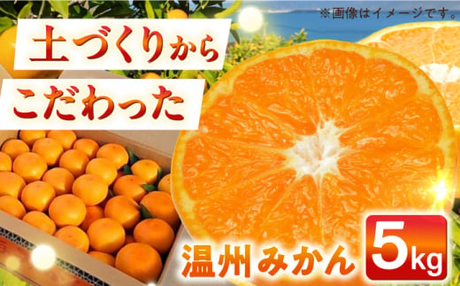 【自然の力を活かした栽培】温州みかん（普通） 5kg -2024年12月下旬より発送- 長与町/農事組合法人希望種（きぼうのたね） [ECQ005]