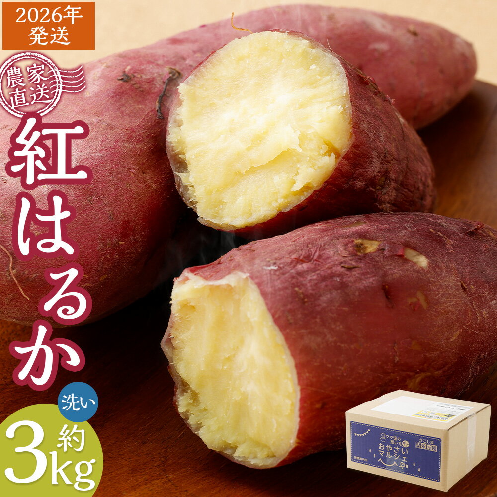 【ふるさと納税】ママたちの想いをギュッ！薩摩で育てたさつまいも（紅はるか）洗い 3kg 小 【農家直送】 ZS-635 べにはるか 熟成 蜜芋 お試しサイズ 3kg 焼き芋 小さめサイズ さつまいも サツマイモ 薩摩芋 芋 吉永農園 鹿児島県 薩摩川内市 送料無料