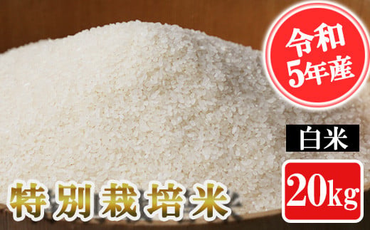 
【令和5年産】特別栽培米 白米 20kg
