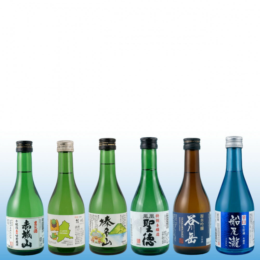【ふるさと納税】群馬の地酒飲み比べ　6蔵飲み比べセット | お酒 さけ 人気 おすすめ 送料無料 ギフト