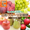 【ふるさと納税】【定期便5回】山形果実の雅 【令和6年産先行予約】FU22-041 フルーツ くだもの 果物 お取り寄せ 先行予約