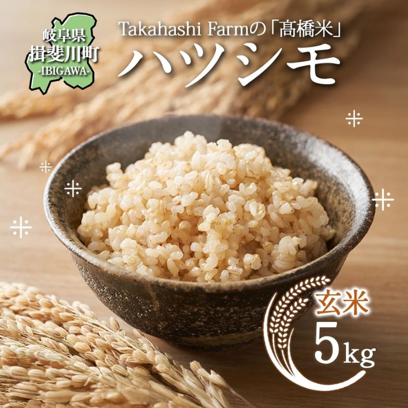 【ふるさと納税】岐阜県 揖斐川町産 ハツシモ「高橋米」玄米 5kg×1袋 お米 精米 玄米 ごはん 米 ご飯 はつしも ブランド米 大粒 白米 炊飯 冷めても美味しい お弁当 冷凍保存 ライス 主食 ふっくら お取り寄せ 送料無料 岐阜県 揖斐川町　お届け：2025年11月より順次発送