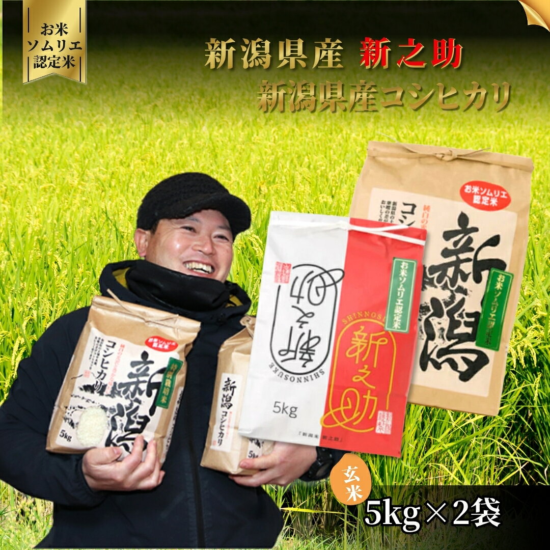 【ふるさと納税】【先行予約】令和8年産 お米 食べ比べ 玄米 10kg（コシヒカリ5kg、新之助5kg）お米ソムリエのお米 | げんまい コシヒカリ こしひかり 新之助 しんのすけ お米 おこめ コメ こめ 新潟県 五泉市 エバーグリーン農場