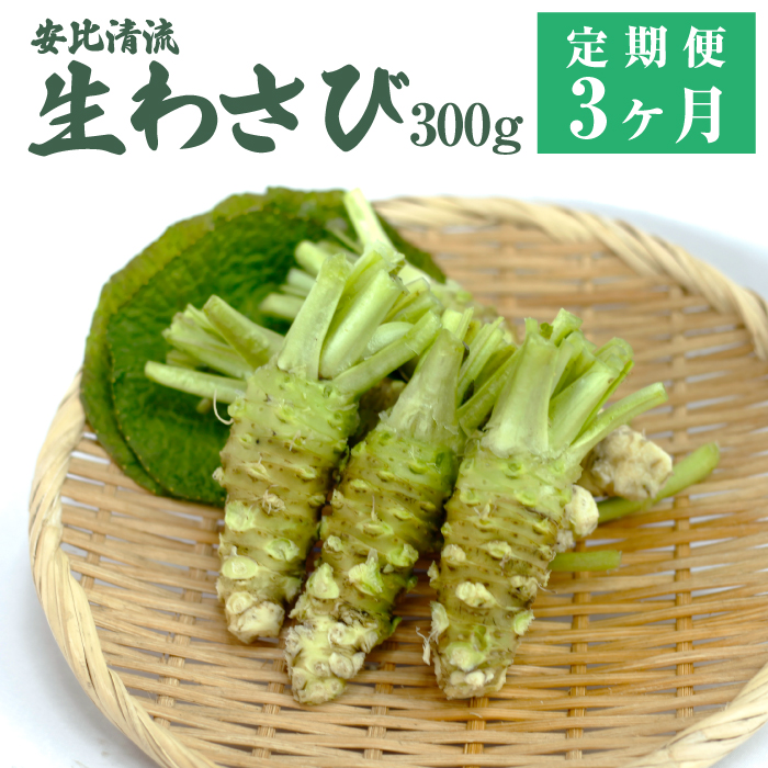 生わさび 300g 定期便3ヶ月 【安比清流山葵園】 ／ わさび 山葵 ワサビ 生山葵 生ワサビ 新鮮 薬味 産地直送 国産 岩手県産