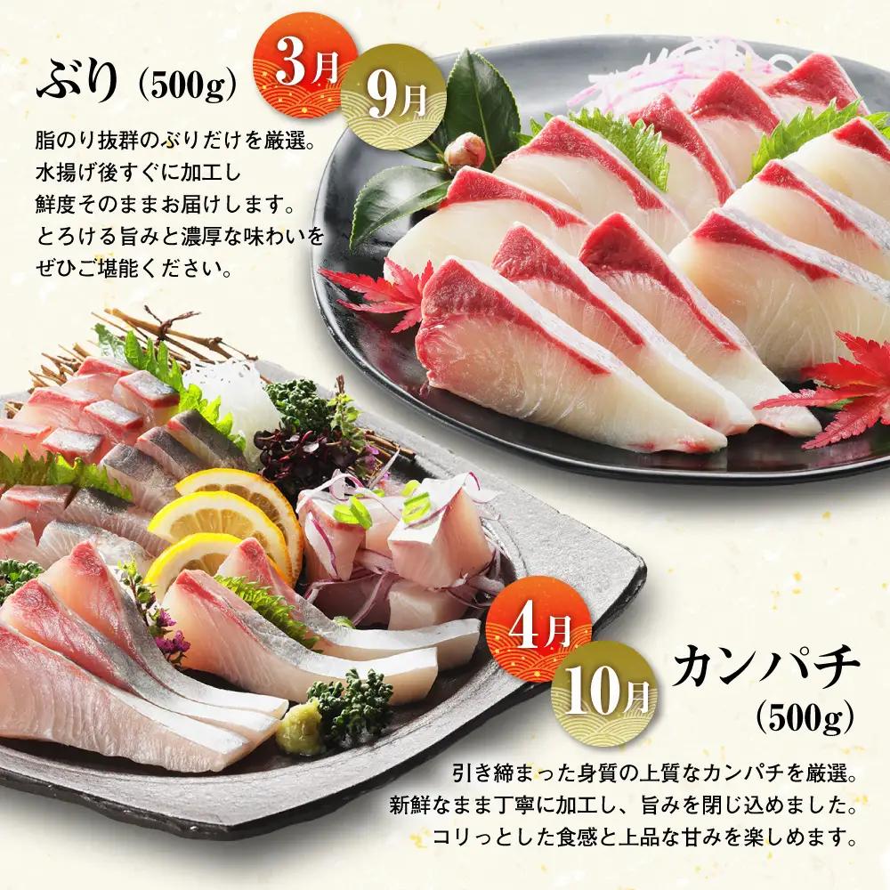 【 刺身 】 刺身定期便 6回