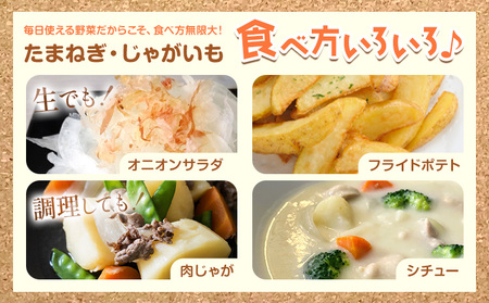 じゃがいも（メークイン）とたまねぎのセット 合計約10kg 野菜 《10月中旬から順次出荷》 橋枝物産 北海道 浦幌町