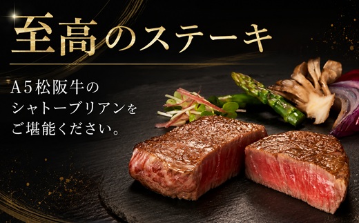 松阪牛 A5 シャトーブリアンステーキ 480g（120g×4枚）【9.6-1】