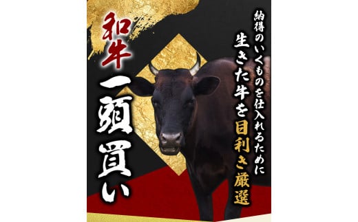 尾呂志屋精肉店の和牛 赤身 焼き肉用 3人前 500g 【1か月以内に順次発送】 /  和牛 赤身 焼き肉 焼肉 牛肉 牛 精肉 【ors006】