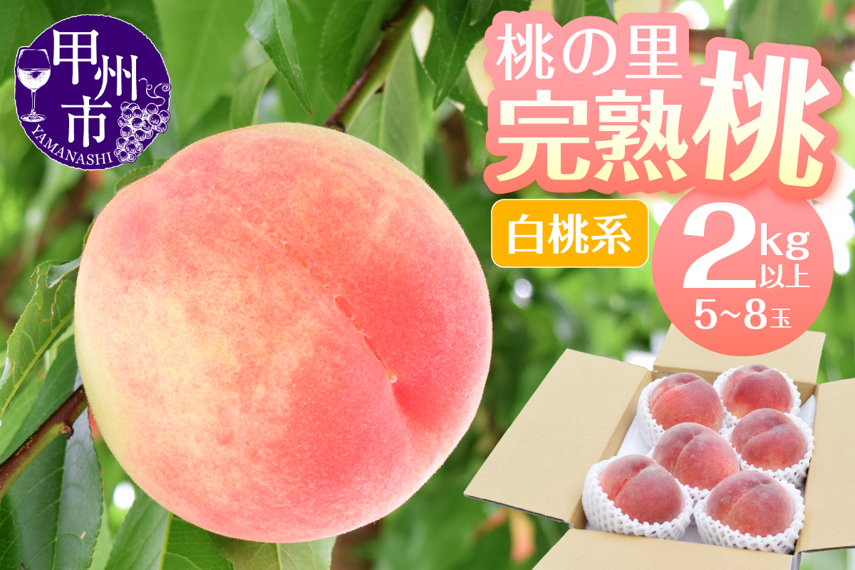 桃の里 完熟桃 白桃系 2kg以上（5～8玉）【2025年発送】（HK）B2-442