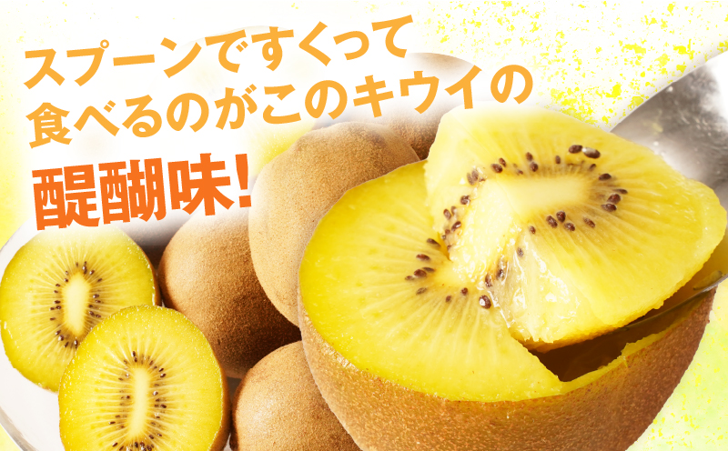 訳ありご家庭用さぬきゴールドキウイ約1kg【香川県共通返礼品】 | 果物 フルーツ さぬきゴールド キウイ キウイフルーツ フレッシュ ジューシー 香り 爽やか 旬の果物 人気 おすすめ 贈答 贈り物