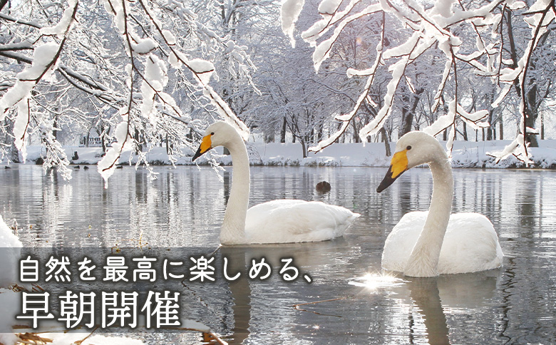 まちなか散策フォトツアー体験チケット(3人分)【32014】_イメージ3