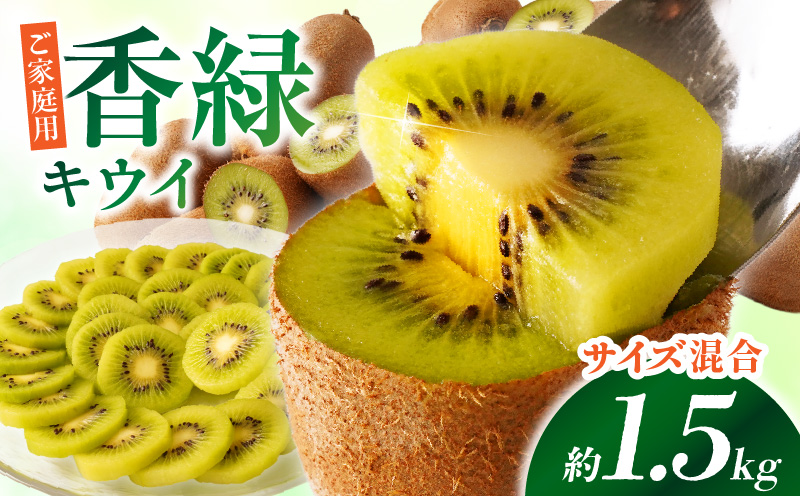【先行受付】ご家庭用香緑キウイ　約1.5kg【香川県共通返礼品】 | キウイ フルーツ 果物 香川県 香緑 デザート サラダ ヨーグルト トッピング 国産 季節限定 青果物 旬 おすすめ |_mk00