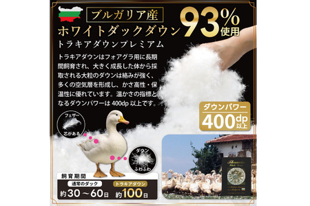 【オールシーズン】 洗える羽毛布団 セミダブル 肌掛け 合掛け  2枚組 グレー 無地｜