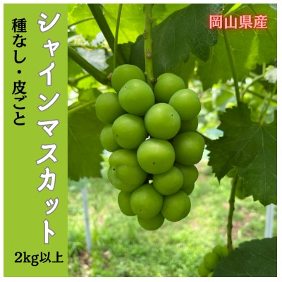 
            ＜2025年先行受付＞岡山のぶどう(シャインマスカット)2kg(3～5房)_ぶどう ブドウ シャインマスカット 緑ぶどう 種なし たねなし 2kg セット 果物 フルーツ 贈答 ギフト 人気 岡山県 津山市 送料無料【1617939】
          