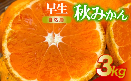 【2026年11月1日から順次発送】 訳あり 早生 秋 みかん 約3kg 蜜柑 早生 フルーツ 果物 国産 くだもの 産地直送 わけあり 常温 静岡県産みかん 静岡みかん 西浦 沼津 静岡 自然農 ふるさと 納税 秋 西浦みかん 混合 静岡県産