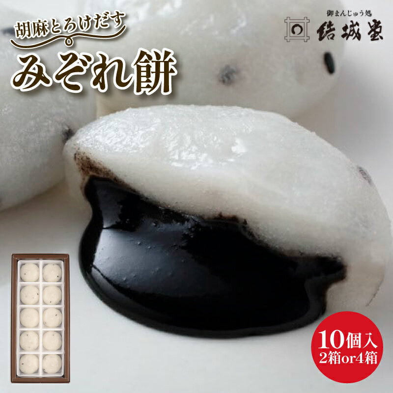 【ふるさと納税】 みぞれ餅 胡麻 10個入り 選べる 2～4箱 胡麻饅頭 ごま饅頭 冷凍 和菓子 和スイーツ 月岡 月岡温泉 お菓子 ご褒美 贈答用 プレゼント お土産 老舗 結城堂 新潟県 新発田市 yukido010P