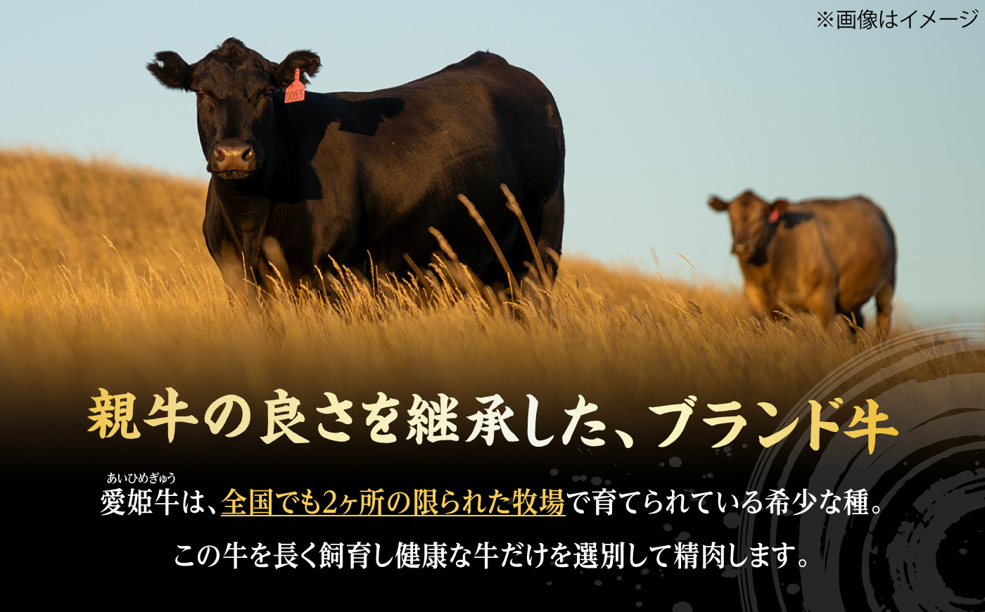 【冷凍】キメが細かく濃厚なうまみ！国産ブランド牛！愛姫牛肩ロース すき焼き・しゃぶしゃぶ用 800g（4人前）牛肉 ステーキ お肉 国産 焼肉 送料無料 グルメ 愛媛県大洲市/有限会社 木村屋精肉店 