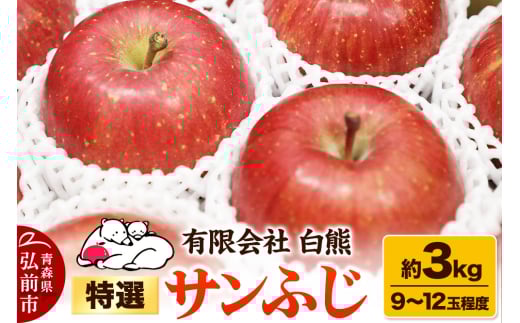 【25年11月発送】りんご 特選 白熊 サンふじ 絆 約3kg（9～12玉程度）糖度13度