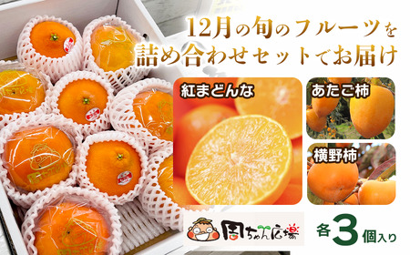【先行予約・12月発送】 旬のフルーツ3種セット 紅まどんな あたご柿 横野柿 「周桑の味覚」 各3個入り　食べ比べ 詰め合わせ セット ギフト