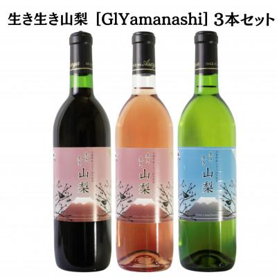 ふるさと納税 甲州市 生き生き山梨 [GIYamanashi]3本セット B17651
