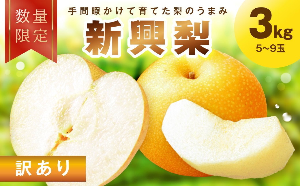 
                  【先行予約／数量限定100】訳あり 新興梨　3kg（2026年10月中旬～発送）　ふるさと納税 訳あり フルーツ くだもの 国産 梨 新興梨 わけあり 訳有り ワケアリ 先行予約 ふるさと納税 梨　FK00036
                