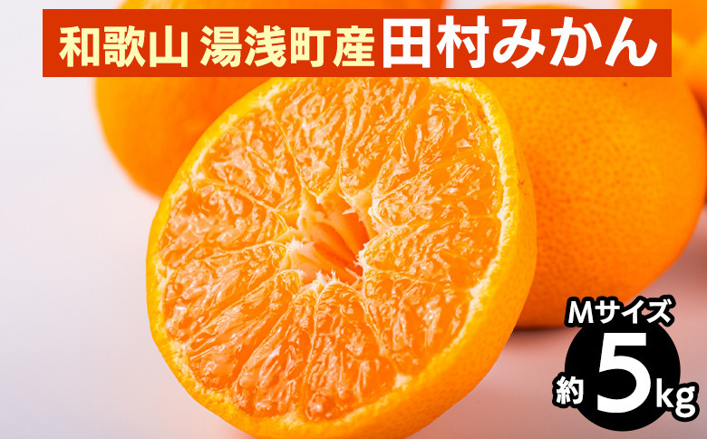 
            和歌山 湯浅町産 田村みかん 5kg【Mサイズ】 ※2025年11月中旬～2026年1月中旬頃に順次発送予定
          