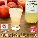 【ふるさと納税】栃木県矢板市産 樹上完熟100%りんごジュース 720ml×3本入｜林檎 リンゴ 果汁100% 産地直送 [0454]