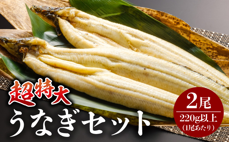 うなぎ白焼(超特大サイズ) 2尾 うなぎ ウナギ 鰻 白焼 超特大 特大 2尾 たれ タレ 鰻のタレ うなぎのタレ 惣菜 贈答 贈り物 ギフト プレゼント ご褒美 手土産 お祝い 内祝い 冷凍 グルメ