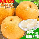 【ふるさと納税】【令和6年度先行予約】プレミアム 王秋梨 約4kg (4~13玉) 高間商店《11月上旬-1月上旬頃出荷》鳥取県 八頭町 梨なし ナシ 果物 フルーツ 厳選　先行予約　ふるさと納税　返礼品　国産　高間商店　　甘い　王秋梨　高糖度　冷蔵便