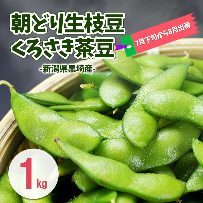 【ふるさと納税】朝どり生枝豆 くろさき茶豆1kg 新潟県黒埼産 新潟市 枝豆 えだまめ えだ豆 茶豆　お届け：2026年7月下旬～9月下旬