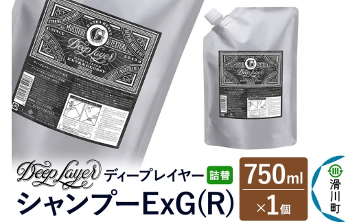 DeepLayer ディープレイヤー シャンプー ExG (R) 【詰替】 750mL×1個 [まとまり パサつき なめらか 手触り スルスル髪 ふんわり 細毛 軟毛 ダメージ毛 ブリーチ毛]