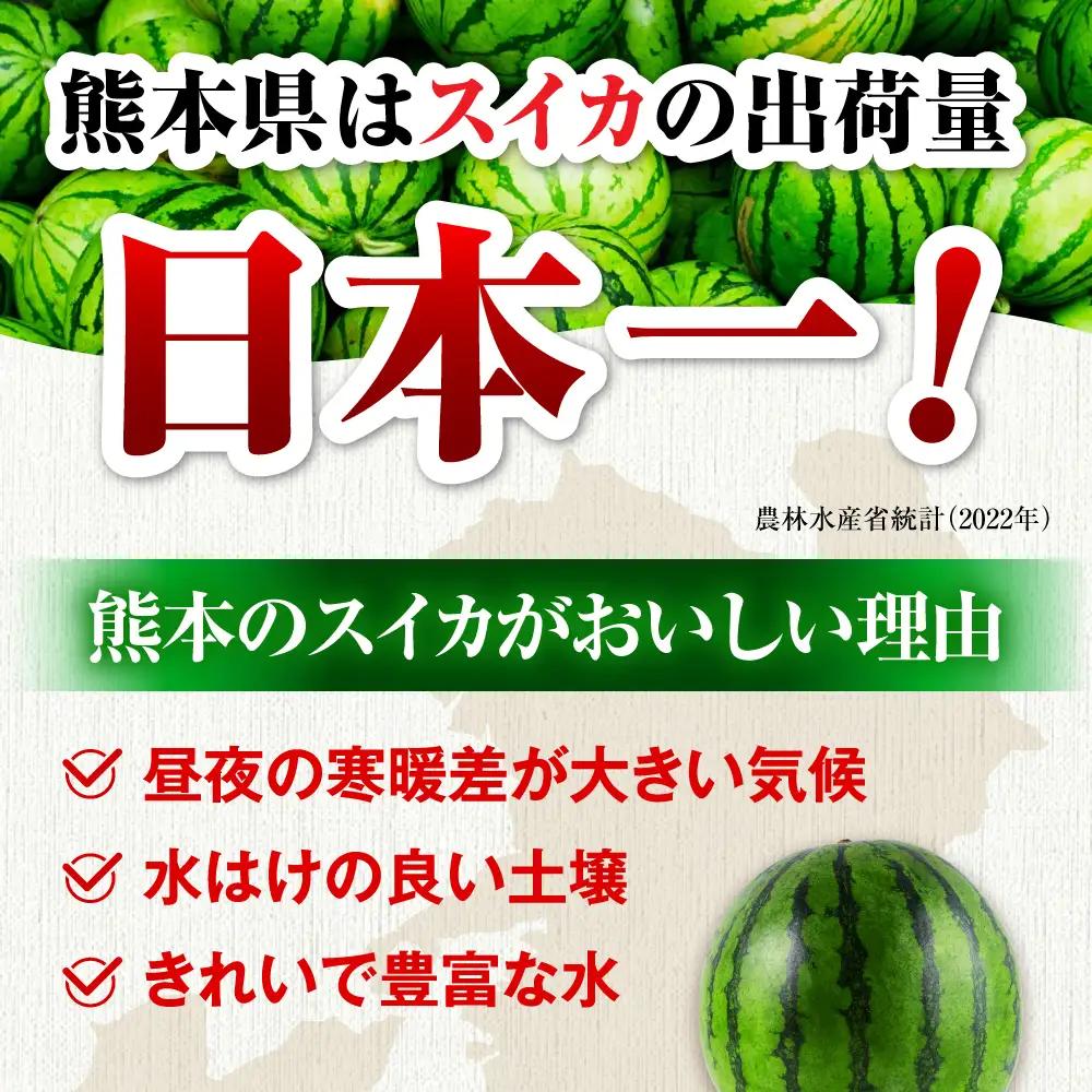 【先行予約】【2027年4月中旬より順次発送】大玉すいか 2玉入（1玉 約7kg） スイカ[AYAB057]