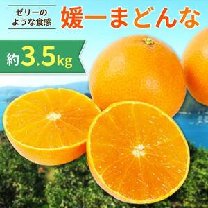 【2025年11月以降発送】ゼリーのような食感!「媛一まどんな」約3.5kg入【C28-22】【配送不可地域：離島】【1046127】