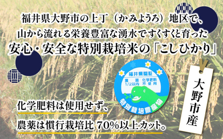 【令和5年産】【3ヶ月定期便】ベストファーマー ほたるの里 特別栽培こしひかり 6kg（2kg×3） × 3回 計18㎏ 化学肥料不使用 農薬70％以上カット [C-002002]