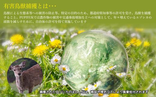 エゾ鹿肉 ジンギスカン 200g×3袋【PIPIYUK】 ジビエ 鹿肉 鹿 蝦夷鹿 シカ 焼肉 焼き肉 タレ 味付け BBQ バーベキュー 北海道 比布町 ぴっぷ 1023-022