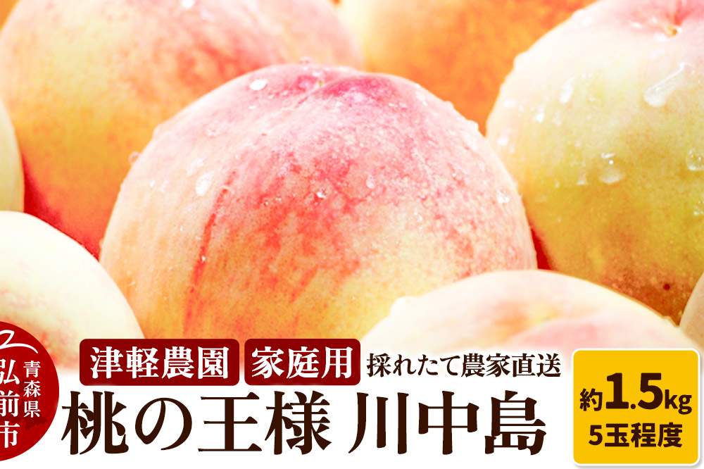 【 2025年産 桃の王様 川中島 】家庭用 約 1.5kg 5玉程度 ASIAGAP認証農場 津軽農園 採れたて 農家直送 