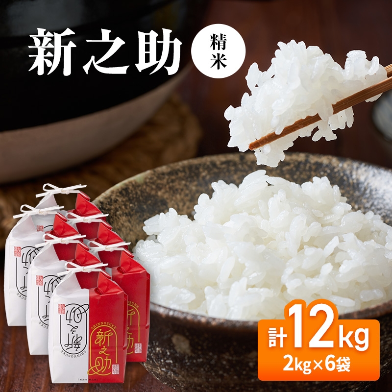 
                  【先行予約】令和8年産 新之助12kg(2kg×6袋)
                
