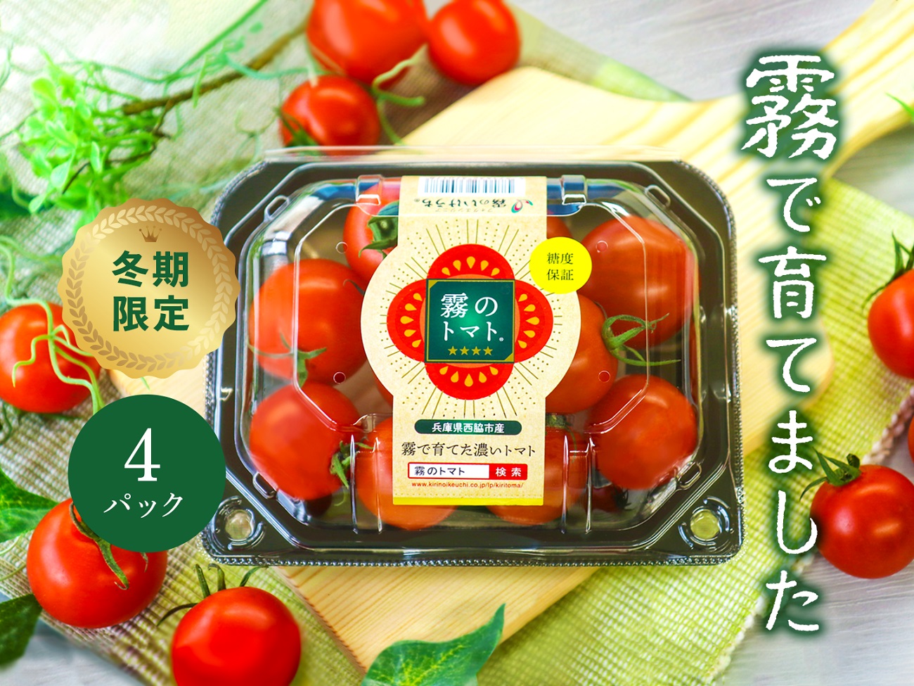 12月以降発送予約【霧のトマト】 霧で育てたおいしさ抜群の味！　ミニトマト200ｇ×4パック　07-54