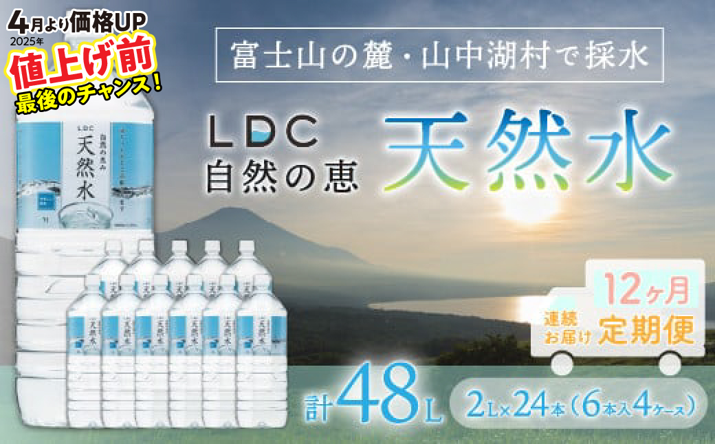 【令和7年4月1日より寄附金額見直し(値上げ)予定】【12カ月定期便】自然の恵み天然水　2L×24本（6本入り4ケース）　計48L　を12カ月連続でお届け　※沖縄・離島配送不可 YX006